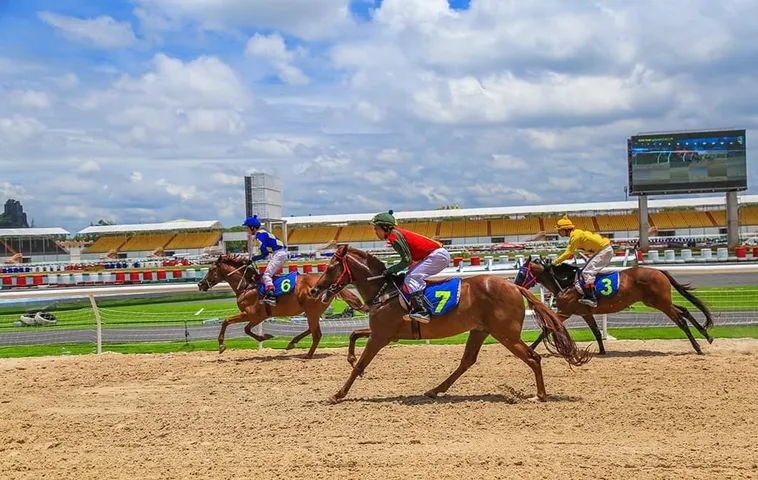 Tìm Hiểu Cá Cược Đua Ngựa FB88 Với Chuyên Gia 1 Tìm Hiểu Cá Cược Đua Ngựa FB88 Với Chuyên Gia