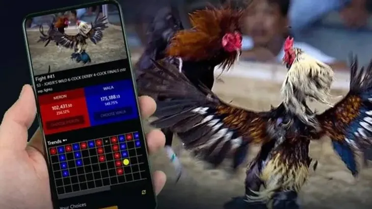 Đá Gà FB88: Sân Chơi Hấp Dẫn Cho Dân Cược Chuyên Nghiệp 1 Đá Gà FB88: Sân Chơi Hấp Dẫn Cho Dân Cược Chuyên Nghiệp